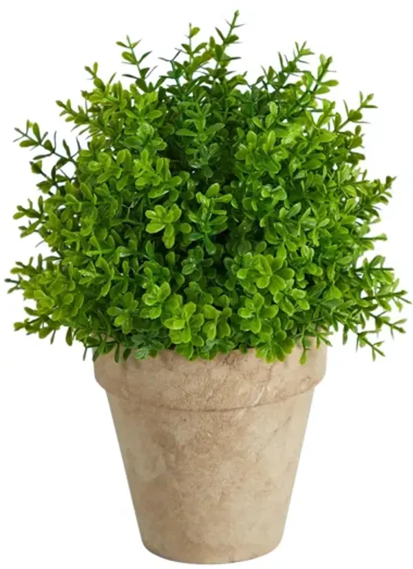 8in. Boxwood Artificial Plant in Decorative Planter