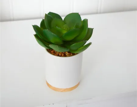 6in. Succulent Artificial Plant in White Ceramic Planter in Green by Bellanest