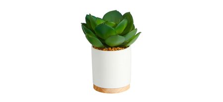 6in. Succulent Artificial Plant in White Ceramic Planter in Green by Bellanest