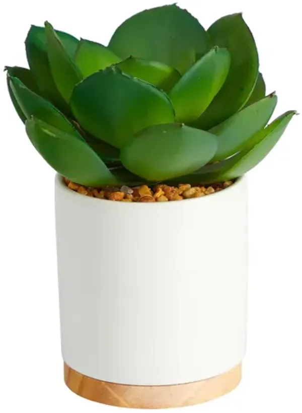 6in. Succulent Artificial Plant in White Ceramic Planter