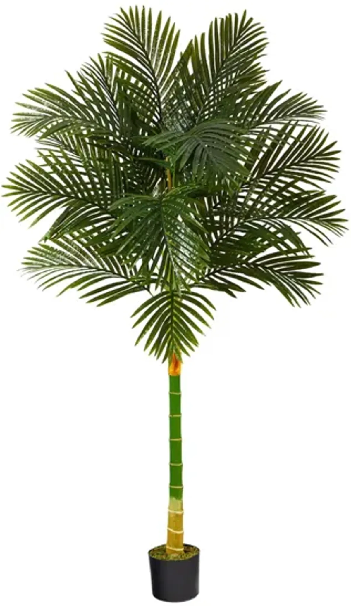 6ft. Golden Cane Artificial Palm Tree in Green by Bellanest