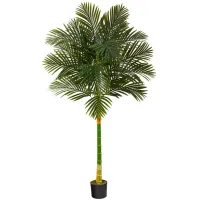 6ft. Golden Cane Artificial Palm Tree in Green by Bellanest