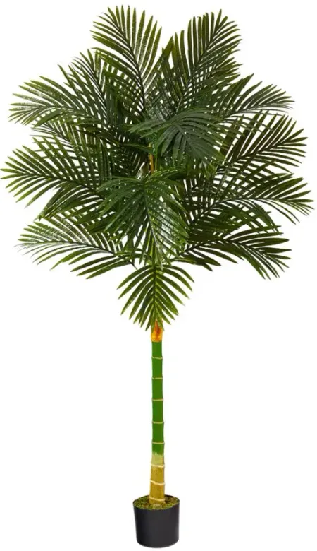 6ft. Golden Cane Artificial Palm Tree in Green by Bellanest