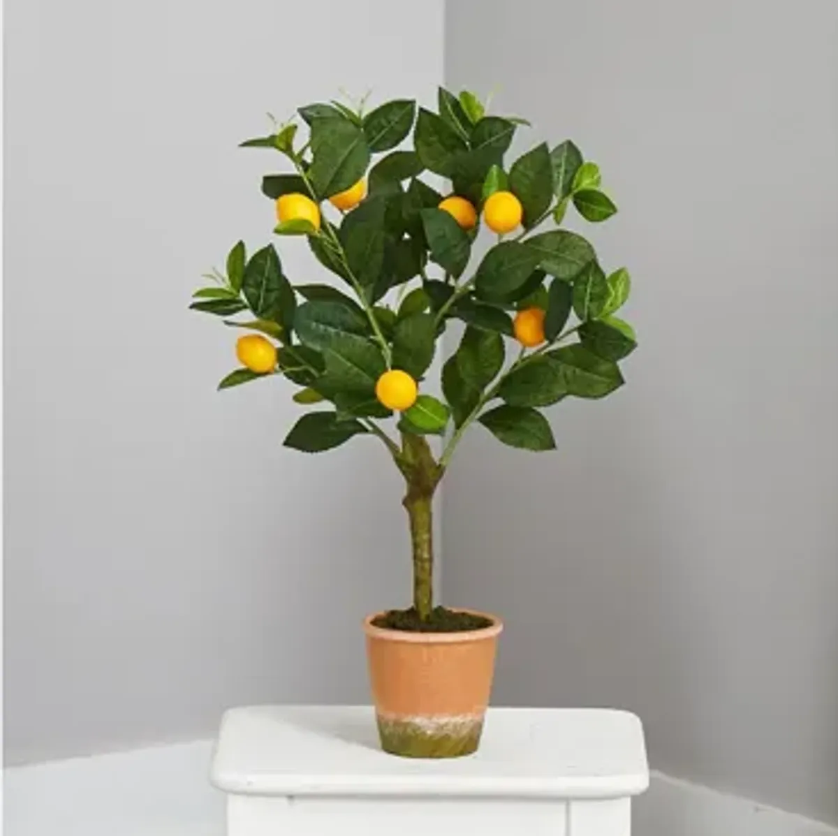 24in. Lemon Artificial Tree