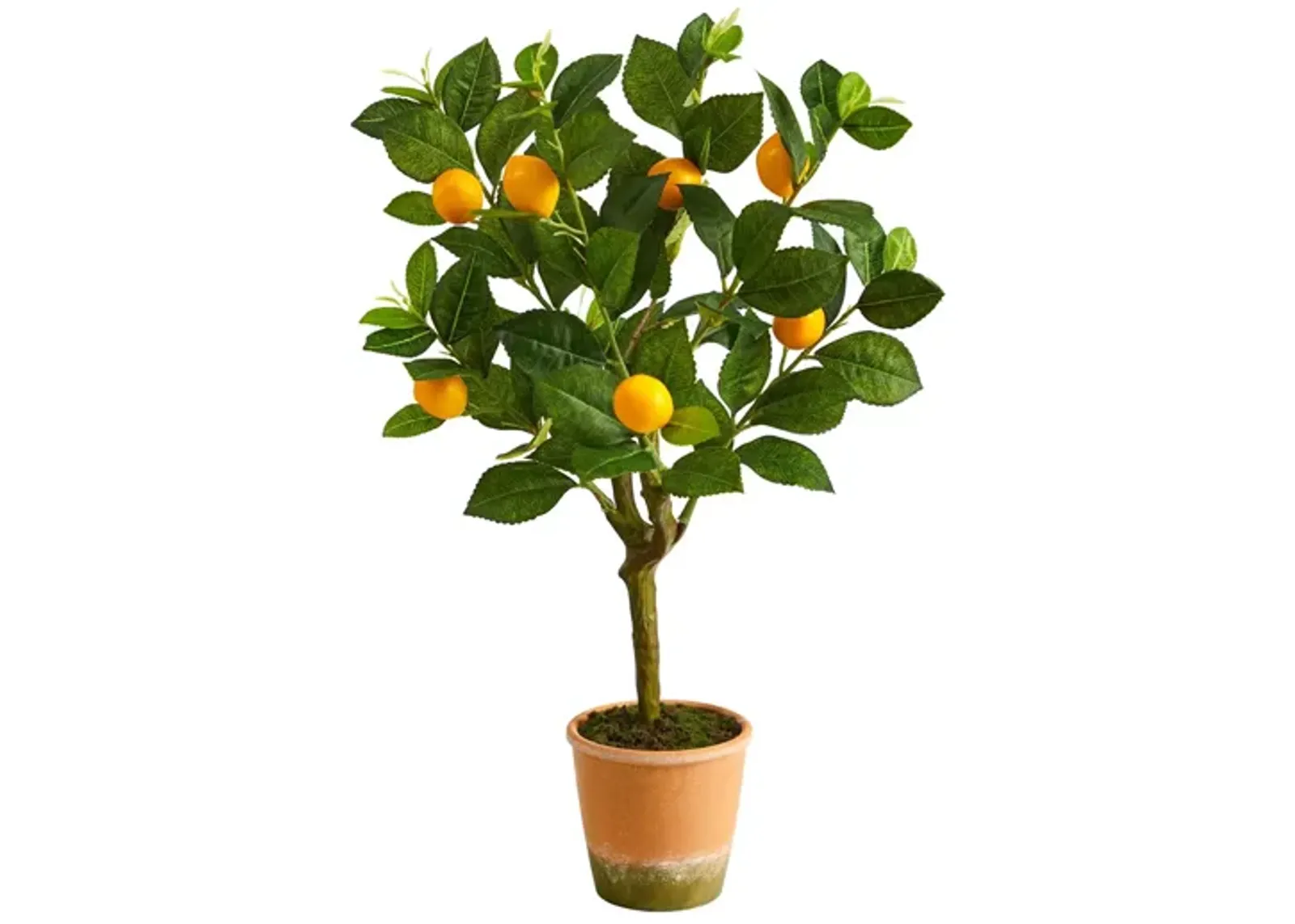 24in. Lemon Artificial Tree