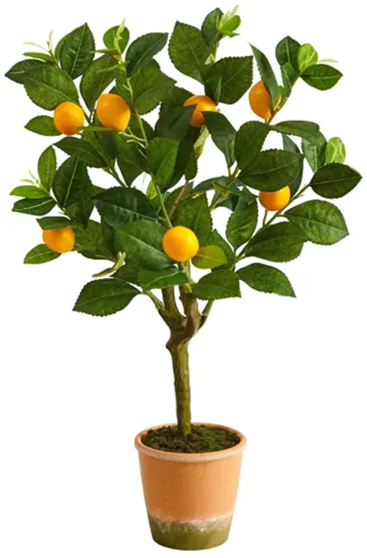 24in. Lemon Artificial Tree in Green by Bellanest