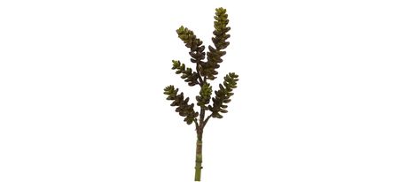 13in. Succulent Artificial Flower (Set of 12) in Green by Bellanest