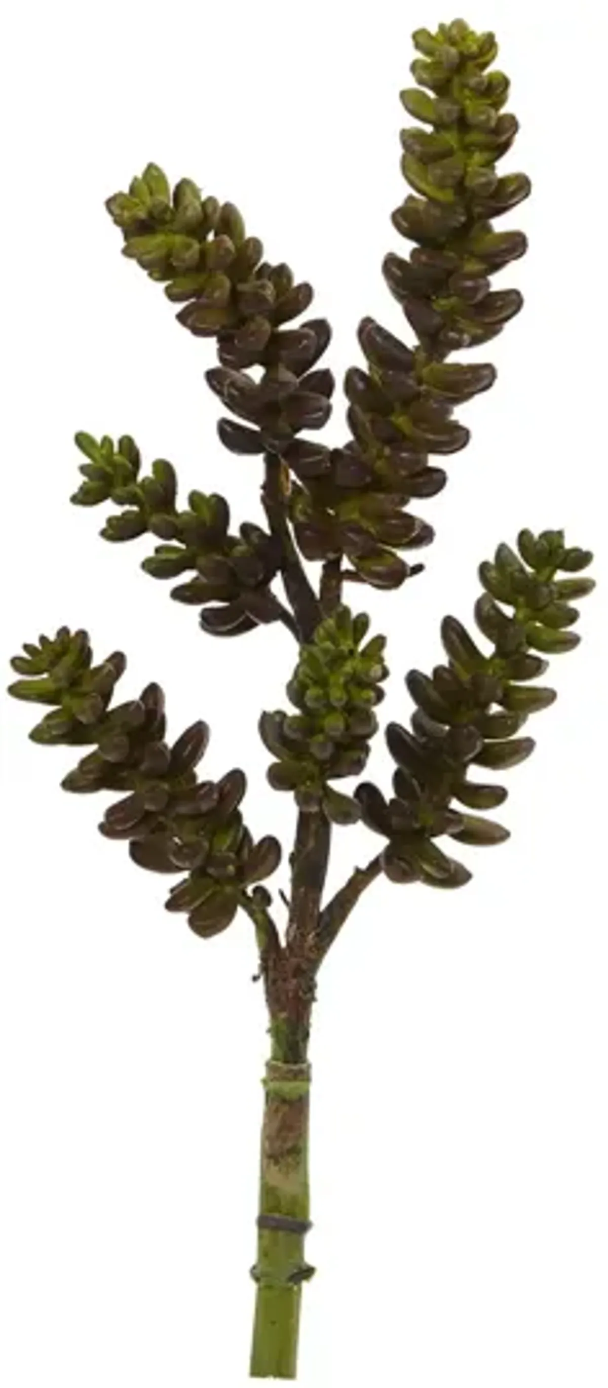 13in. Succulent Artificial Flower (Set of 12) in Green by Bellanest