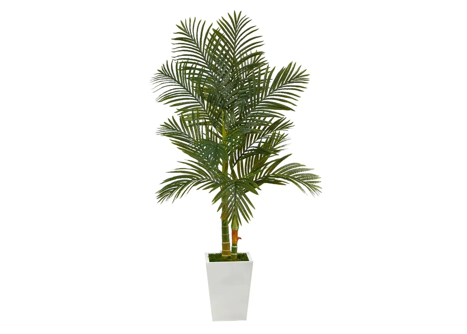 5.5ft. Golden Cane Artificial Palm Tree in White Metal Planter in Green by Bellanest