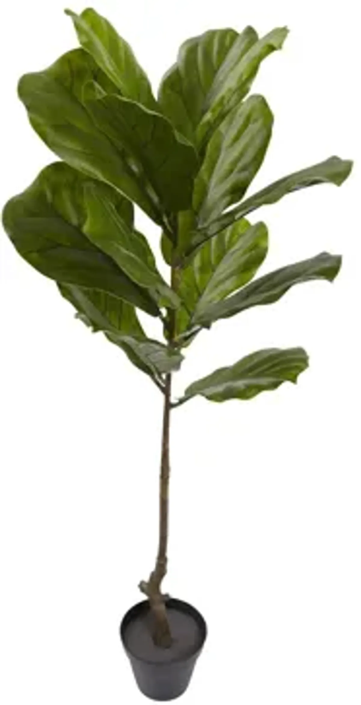 Fiddle Leaf Artificial Tree (Indoor/Outdoor)