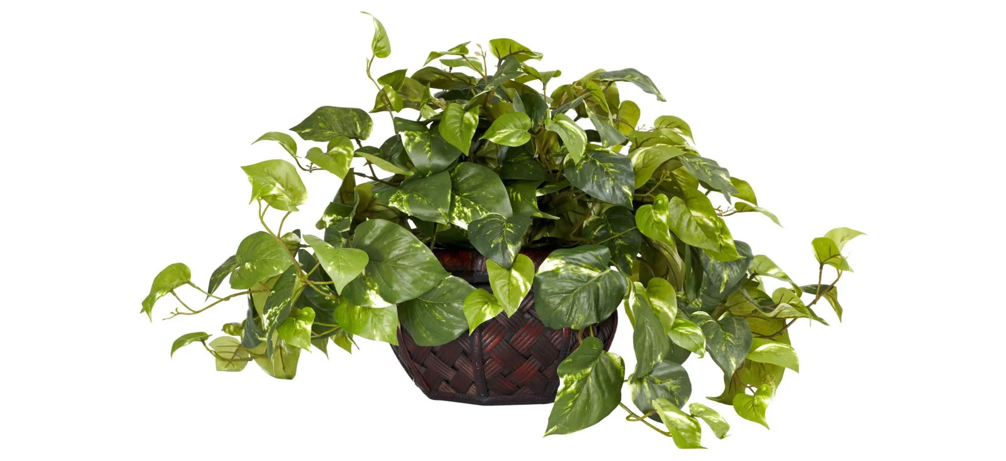 Pothos Artificial Plant in Green by Bellanest