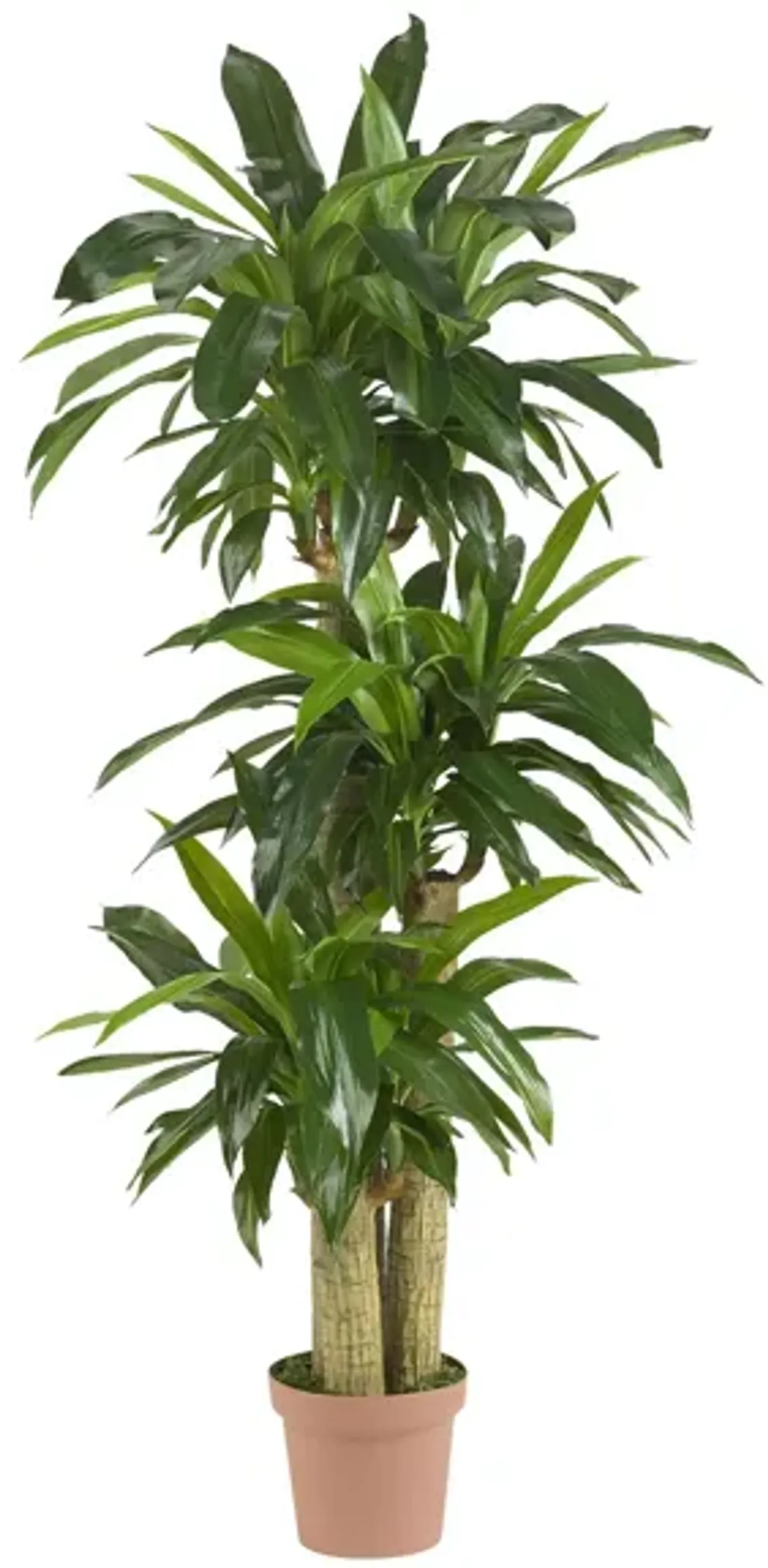 Corn Stalk Dracaena Artificial Plant in Green by Bellanest