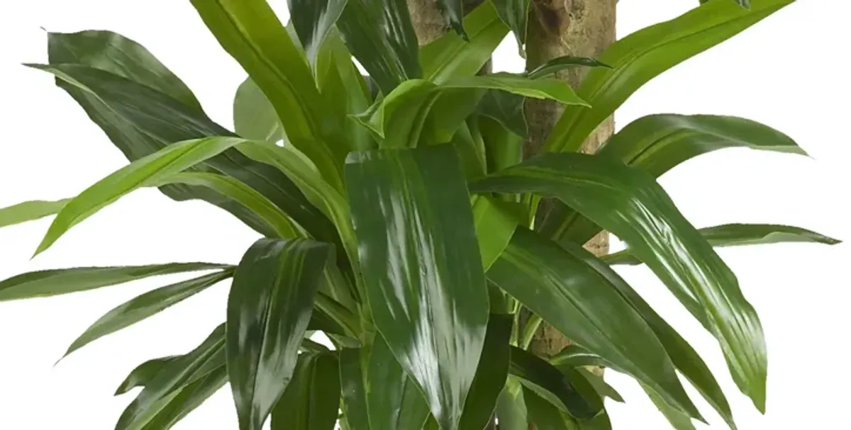 Corn Stalk Dracaena Artificial Plant
