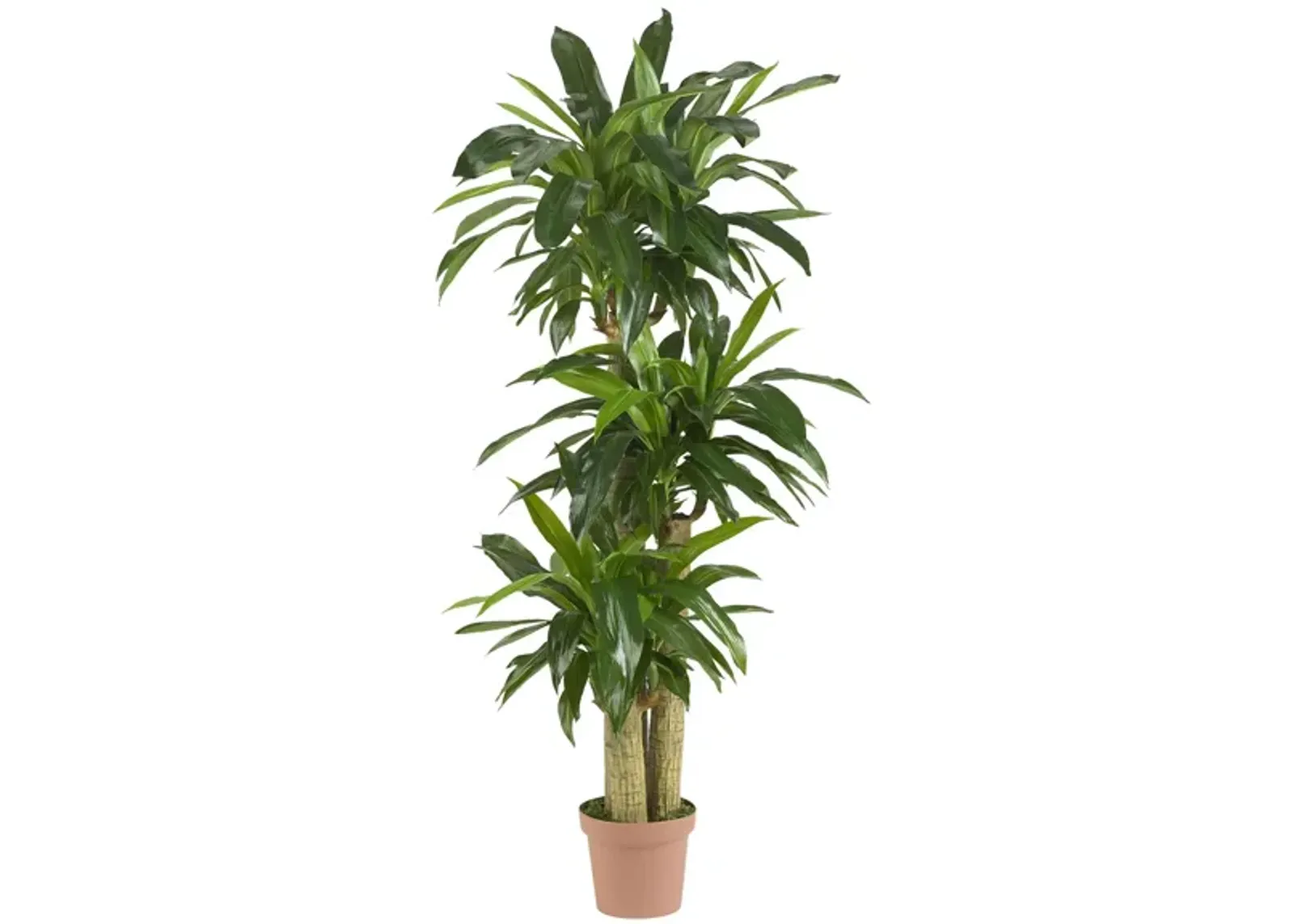 Corn Stalk Dracaena Artificial Plant in Green by Bellanest