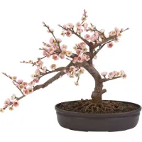 Cherry Blossom Bonsai Artificial Tree in Pink by Bellanest