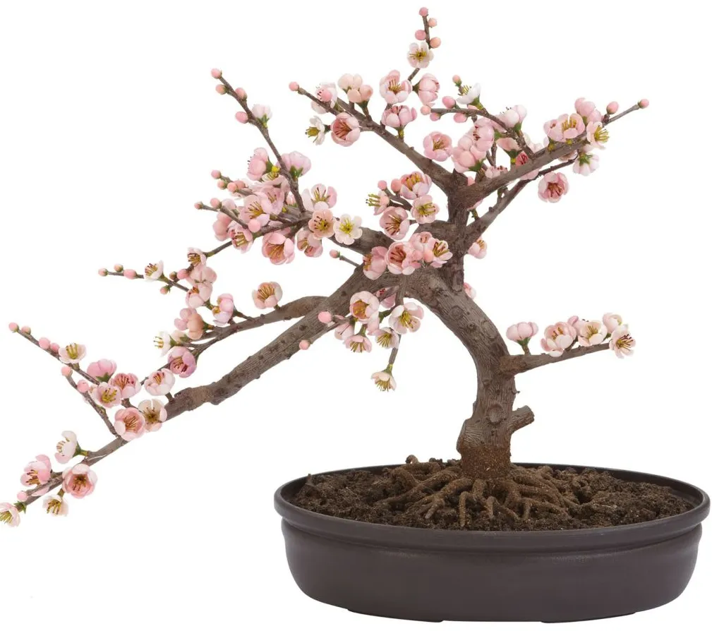 Cherry Blossom Bonsai Artificial Tree in Pink by Bellanest