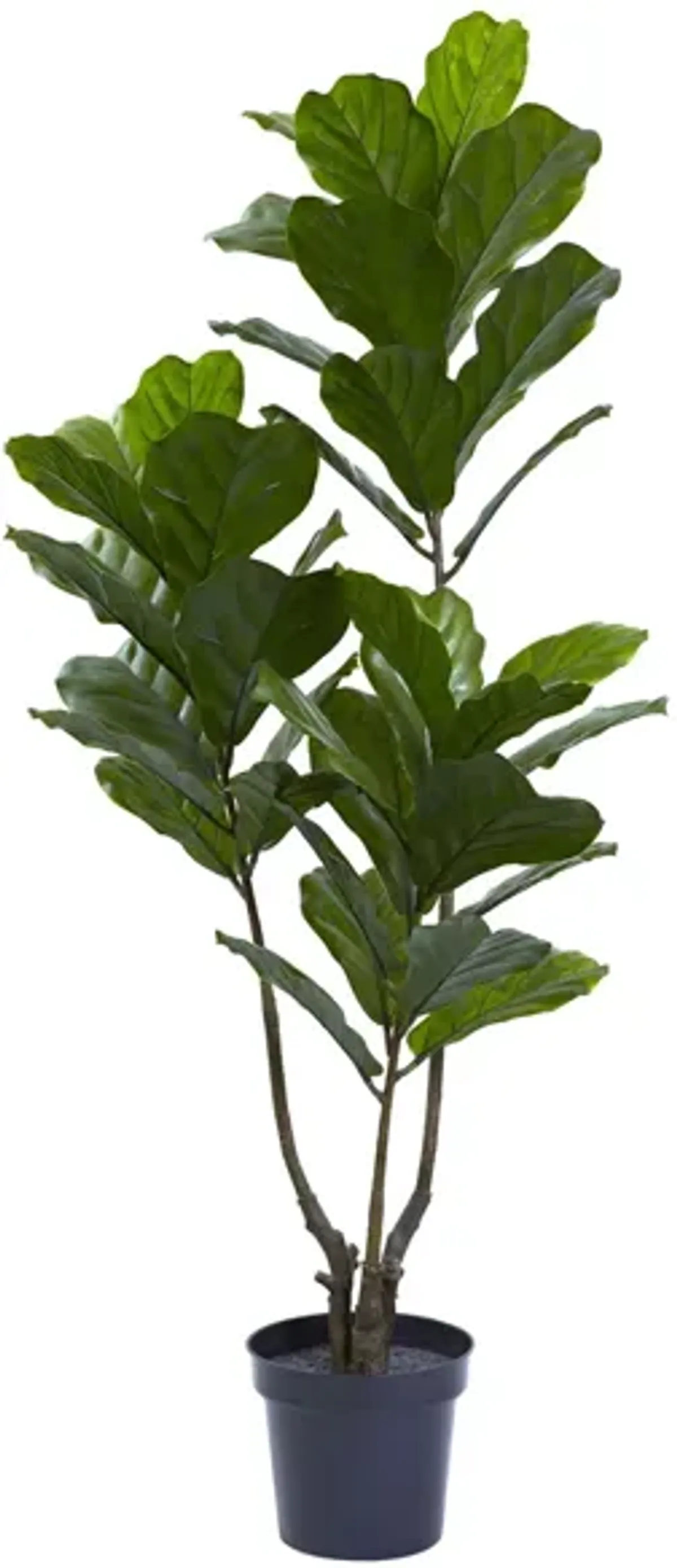 Fiddle Leaf Artificial Tree (Indoor/Outdoor) in Green by Bellanest