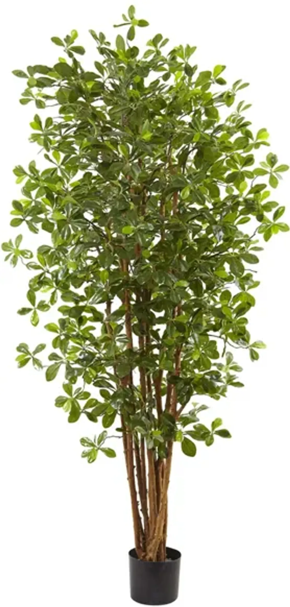 Black Olive Artificial Tree in Green by Bellanest