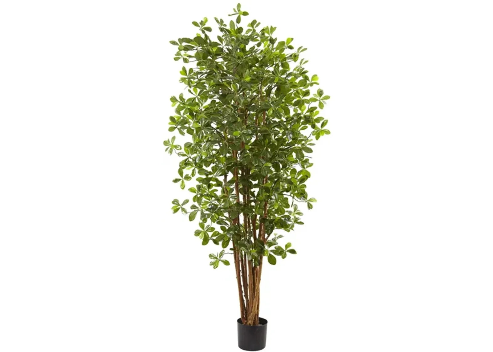 Black Olive Artificial Tree in Green by Bellanest