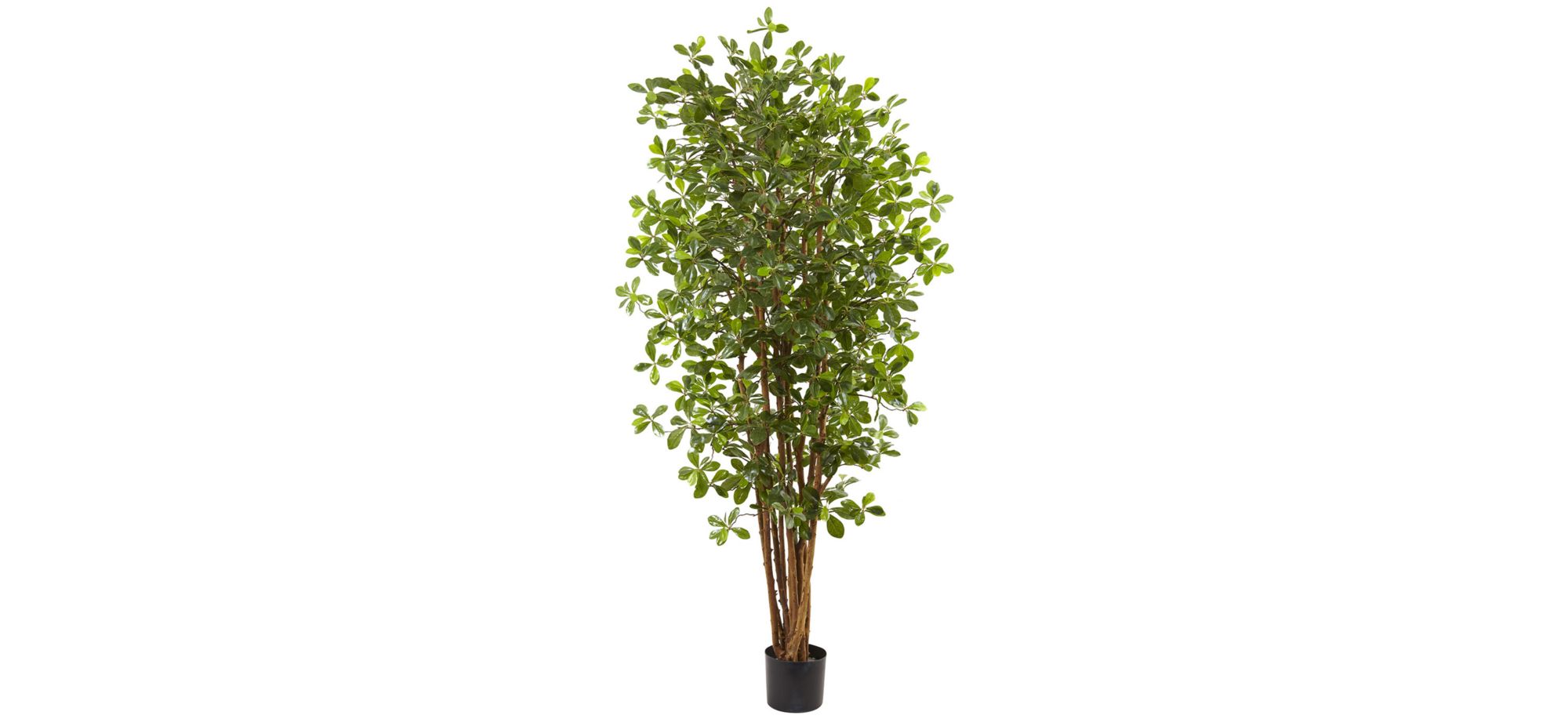 Black Olive Artificial Tree in Green by Bellanest