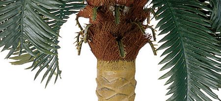 Sago Palm Artificial Tree in Green by Bellanest