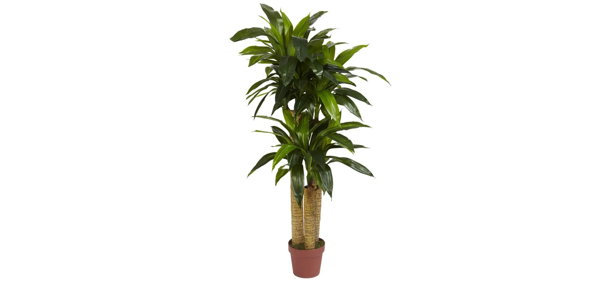 Corn Stalk Dracaena Artificial Plant in Green by Bellanest