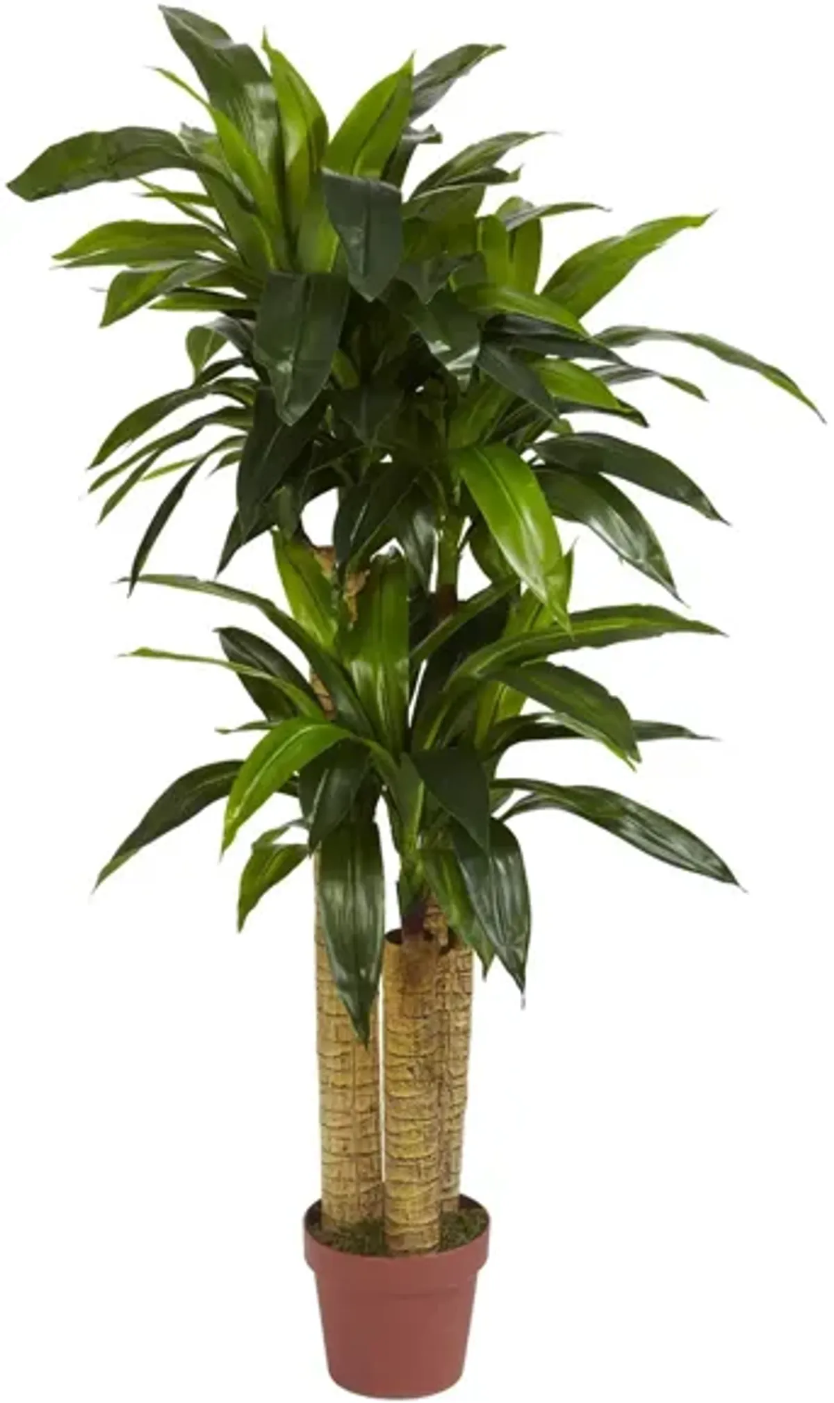 Corn Stalk Dracaena Artificial Plant in Green by Bellanest