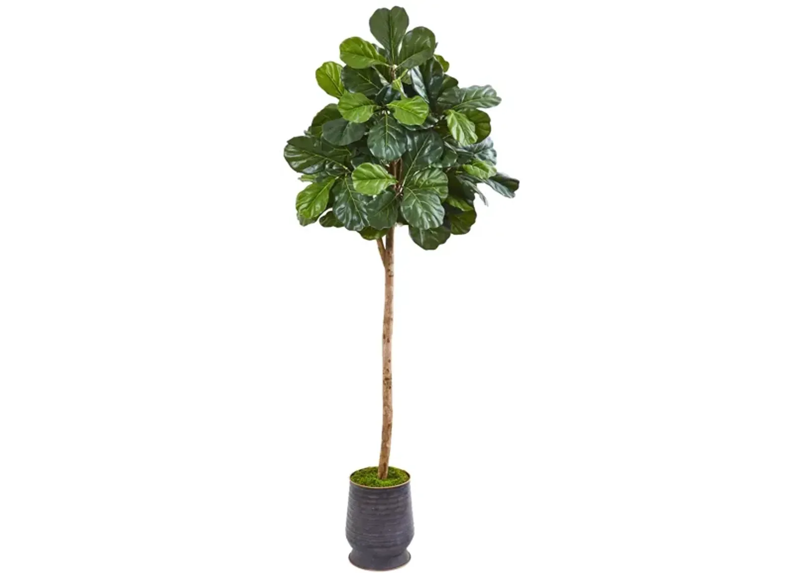 Fiddle Leaf Fig Artificial Tree in Green by Bellanest