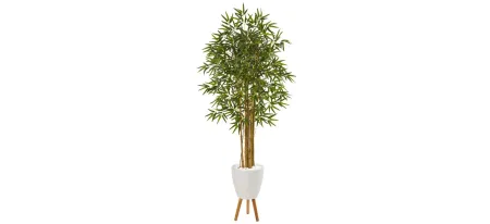 Multi Bambusa Bamboo Artificial Tree in Green by Bellanest