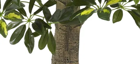 Schefflera Artificial Tree in Green by Bellanest