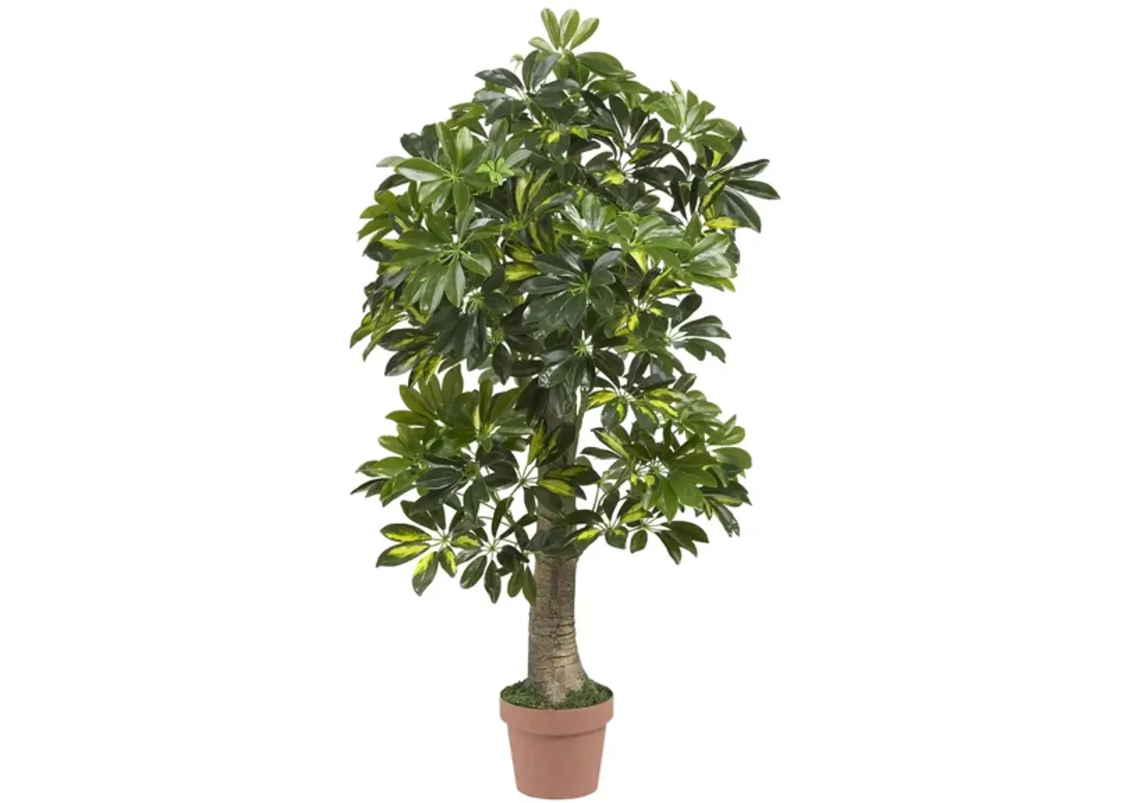 Schefflera Artificial Tree in Green by Bellanest