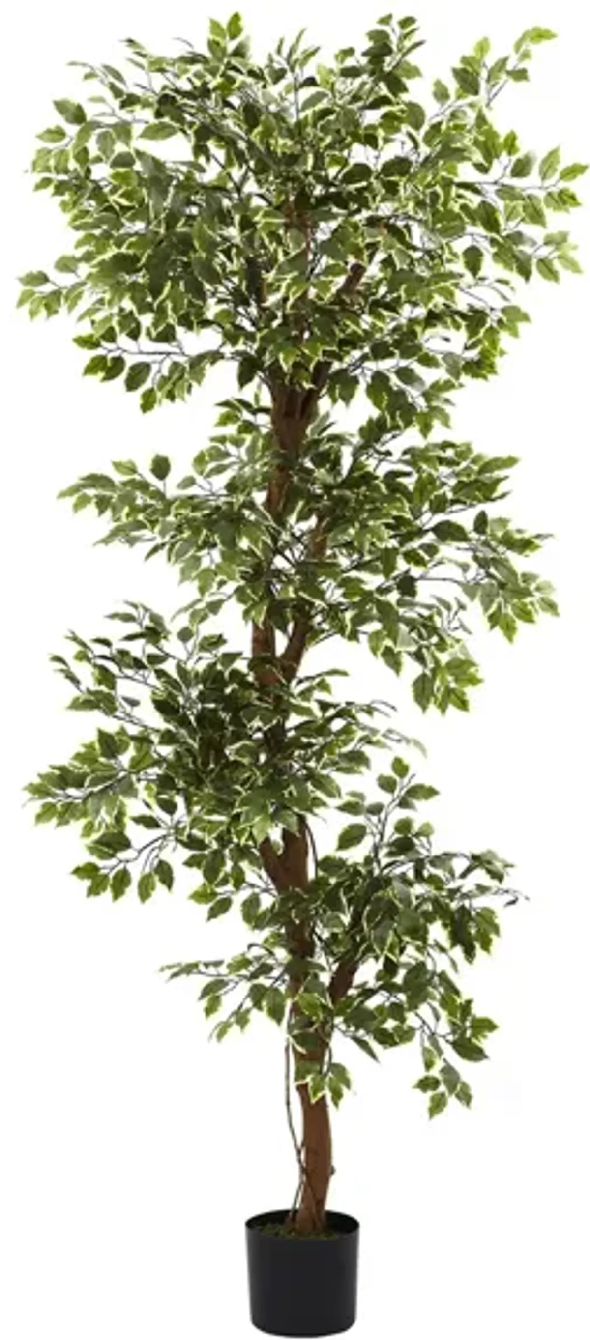 Variegated Ficus Artificial Tree