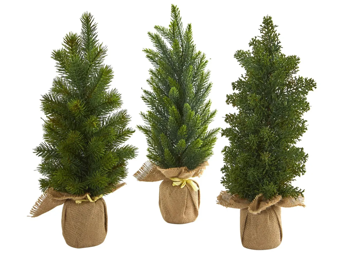 Mini Cypress and Pine Artificial Tree (Set of 3) in Green by Bellanest