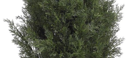 Mini Cedar Pine Artificial Tree (Indoor/Outdoor) in Green by Bellanest