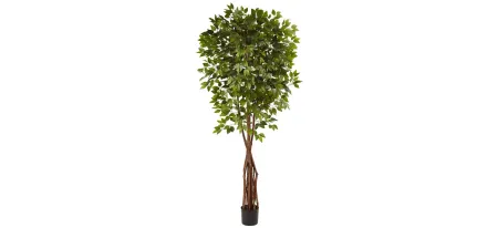 Super Deluxe Ficus Artificial Tree in Green by Bellanest