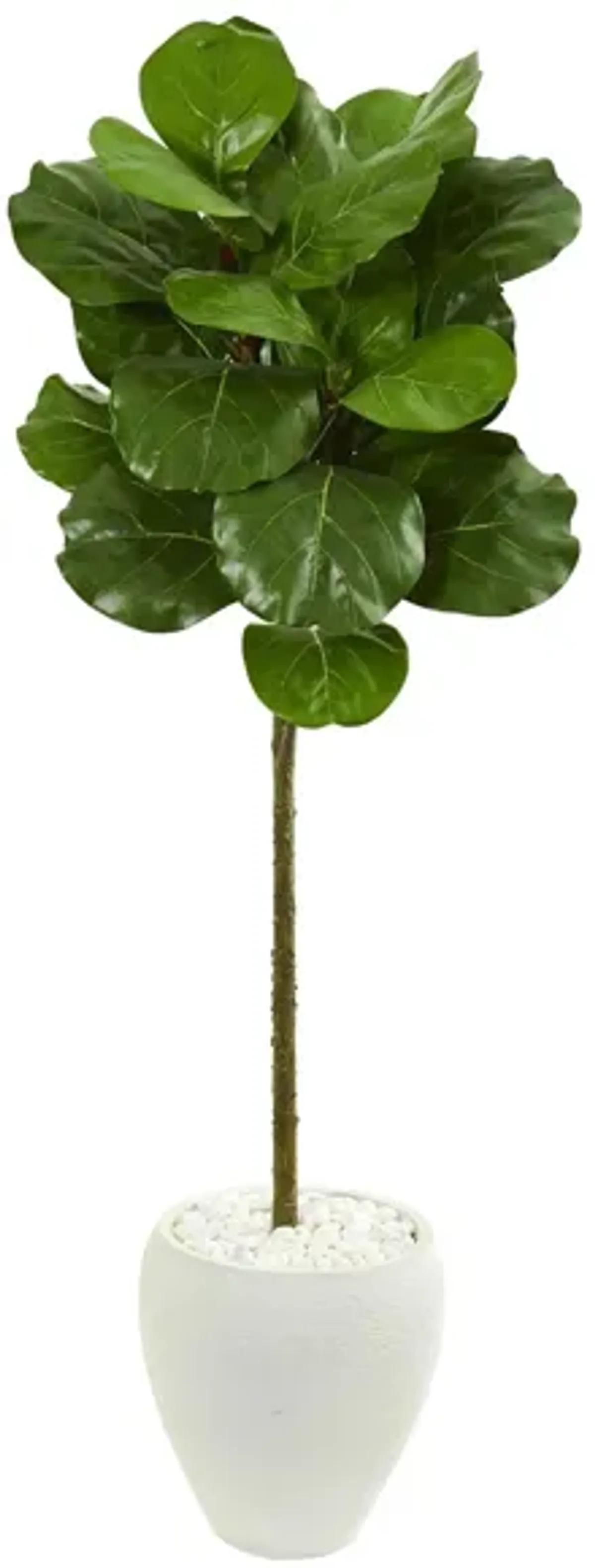 Fiddle Leaf Artificial Tree in Green by Bellanest