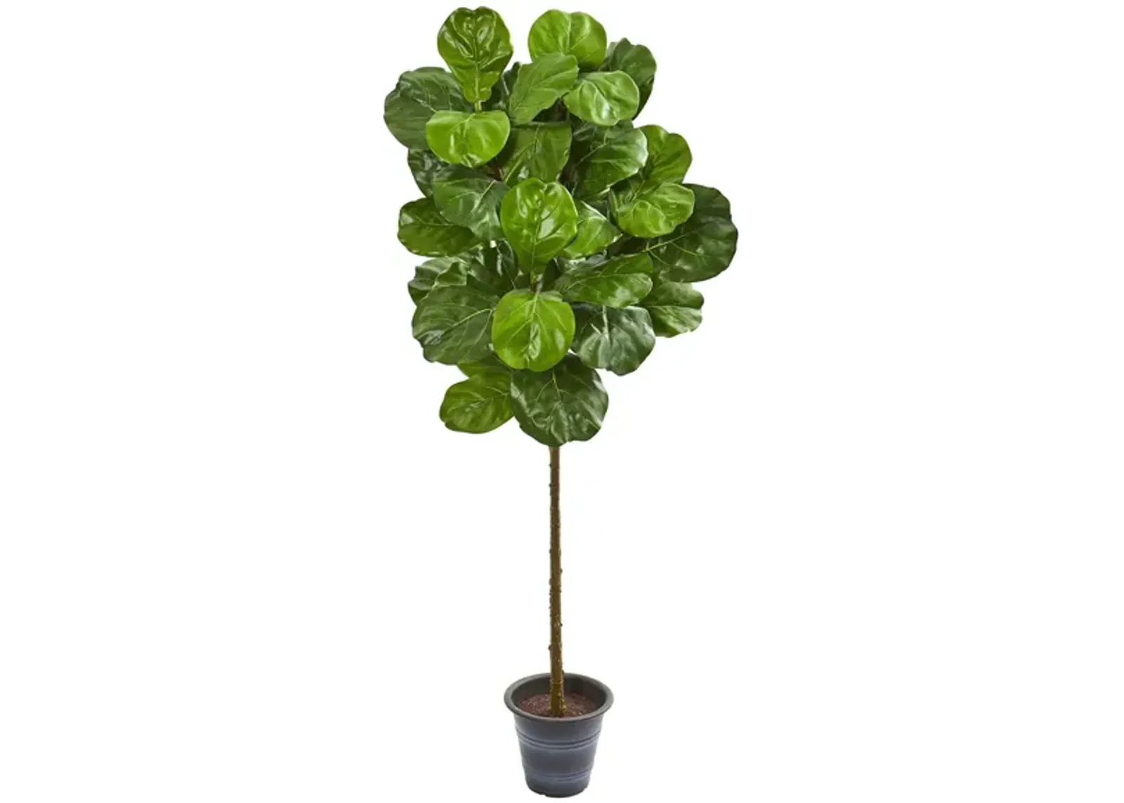 Fiddle Leaf Artificial Tree in Green by Bellanest