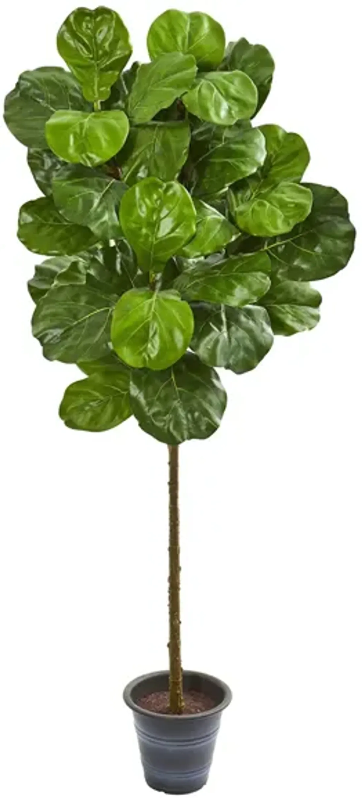 Fiddle Leaf Artificial Tree in Green by Bellanest