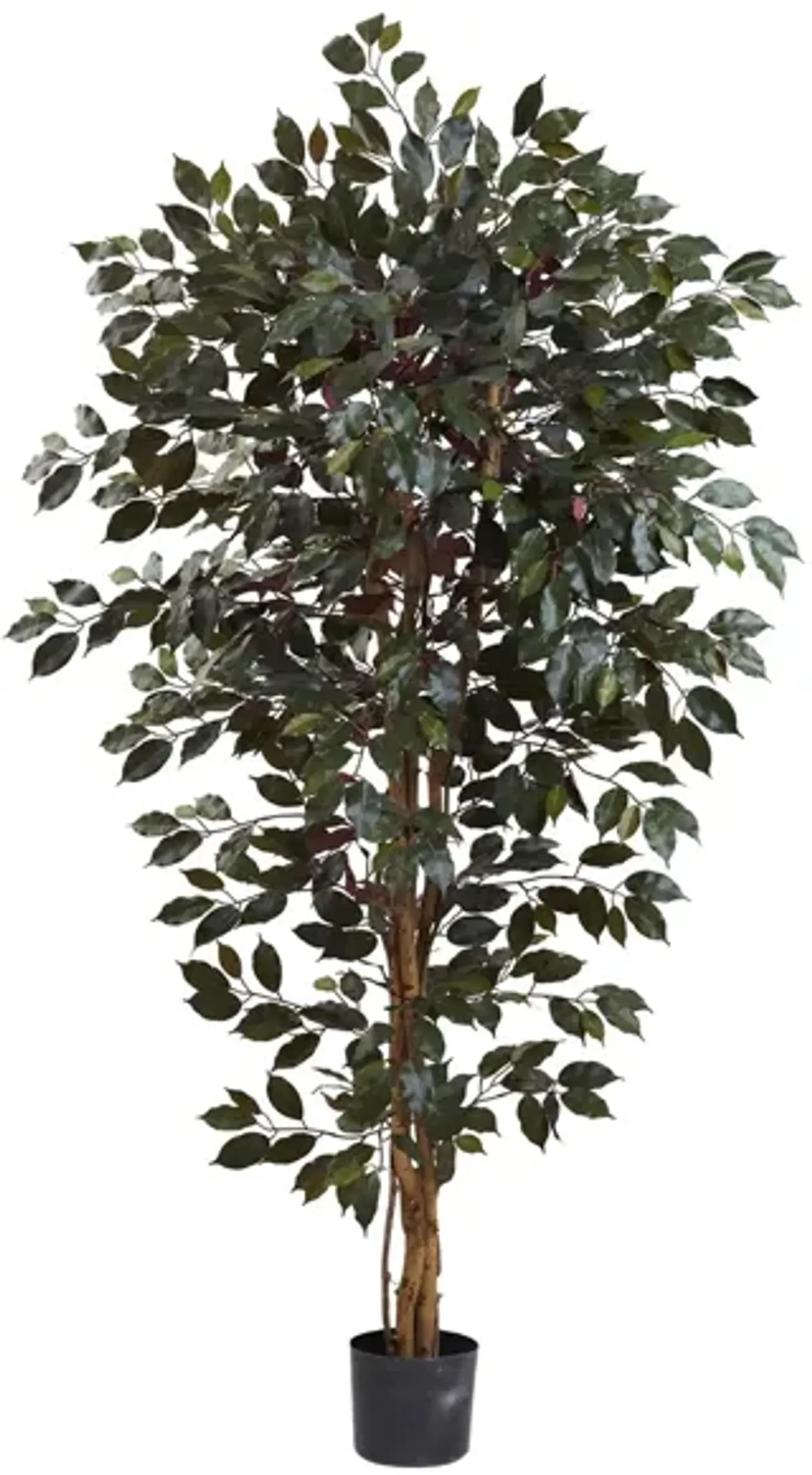 Capensia Ficus Artificial Tree in Green by Bellanest