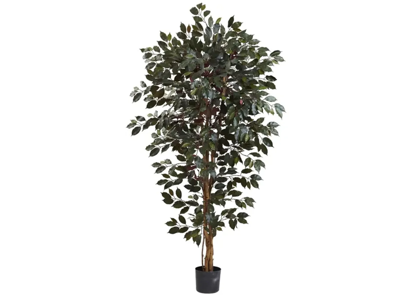 Capensia Ficus Artificial Tree in Green by Bellanest