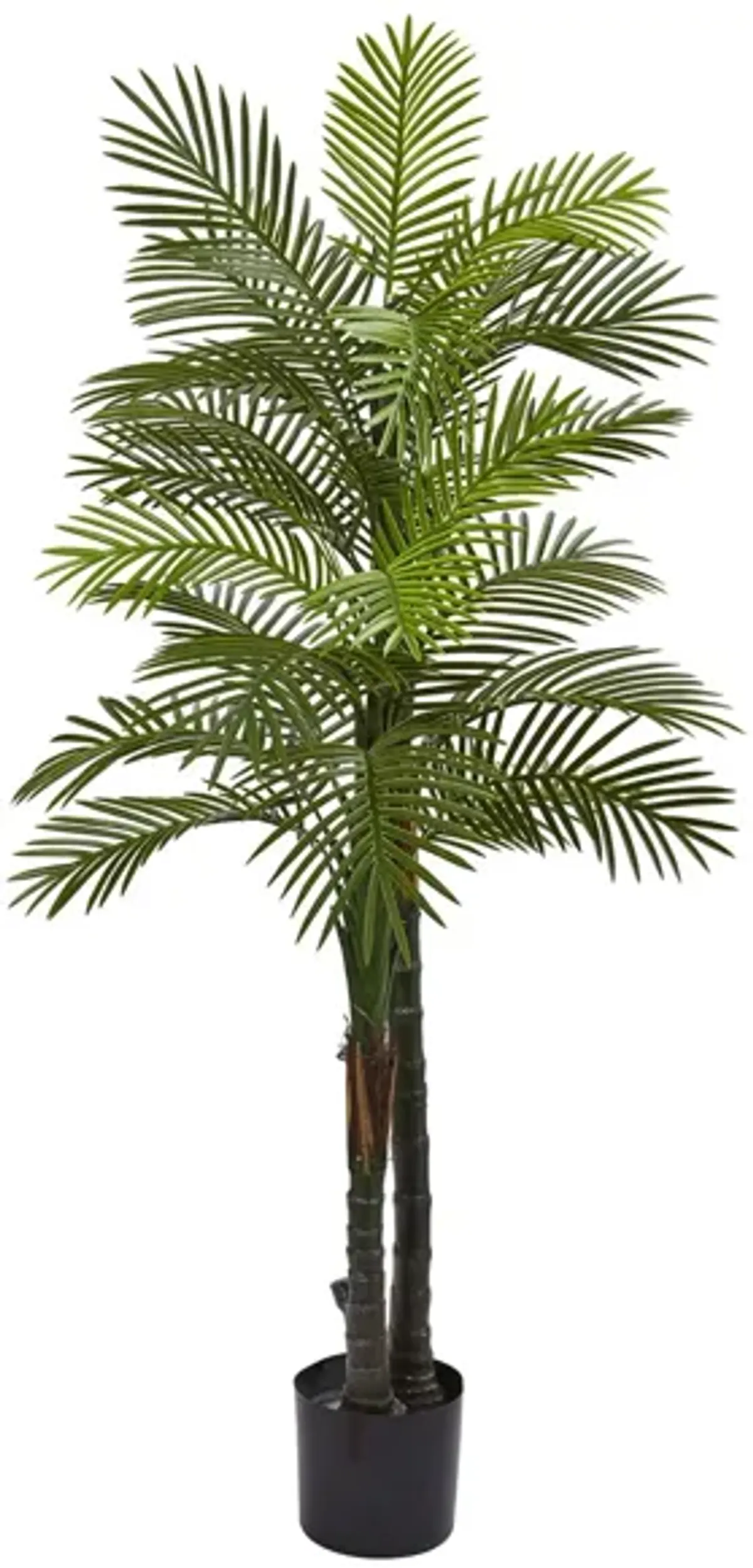 Double Robellini Palm Artificial Tree (Indoor/Outdoor)