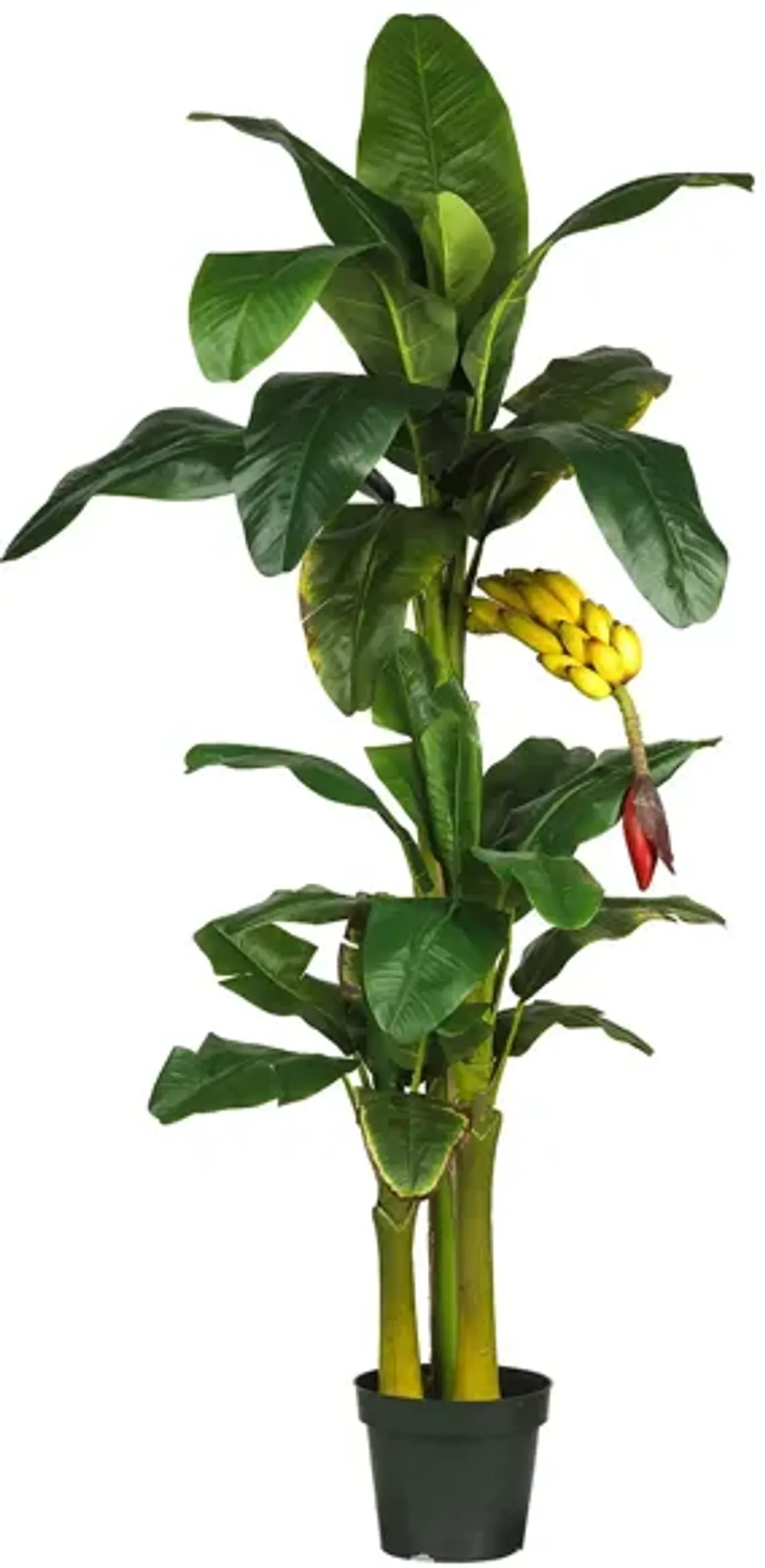 Triple Stalk Banana Artificial Tree in Green by Bellanest