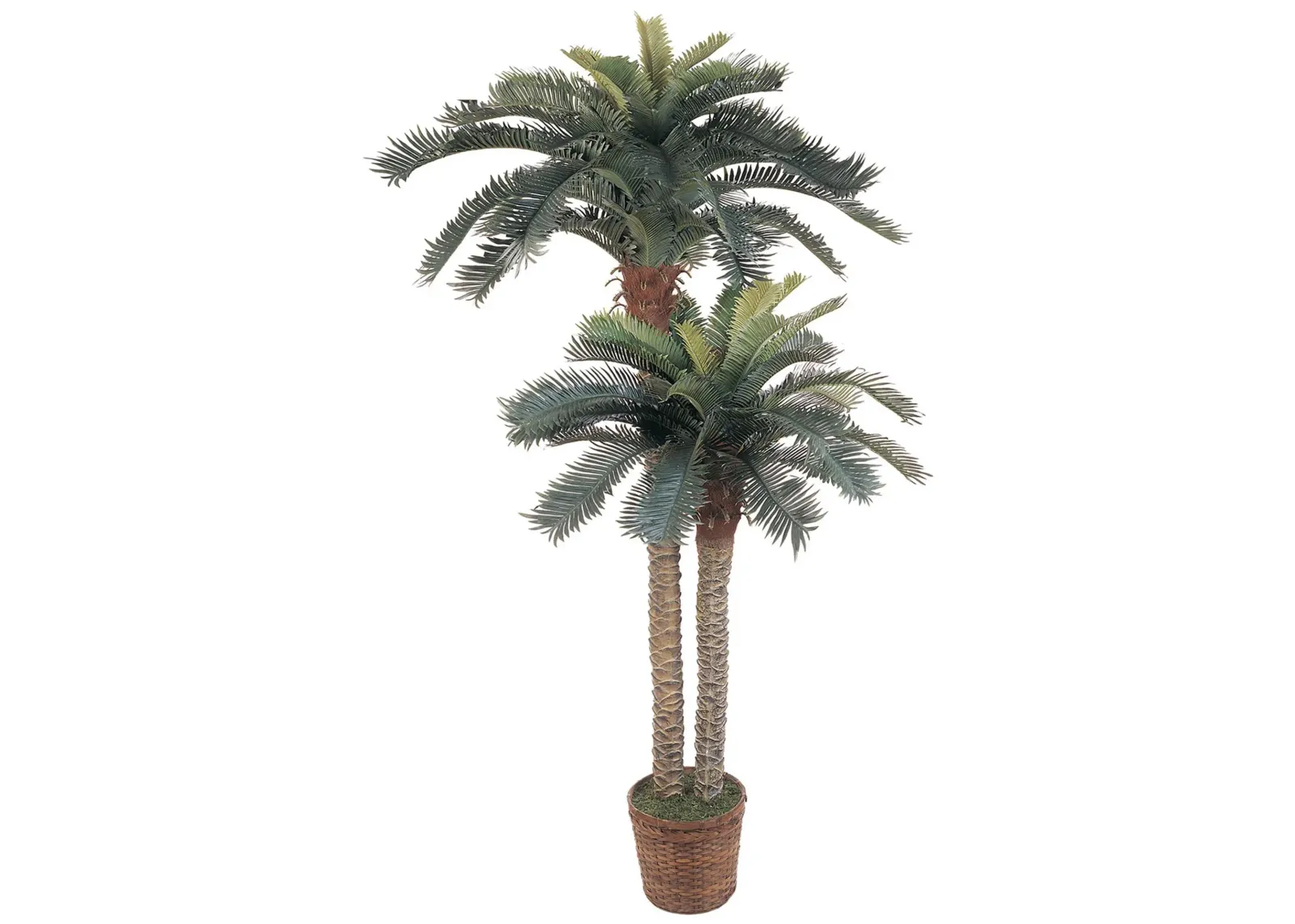 Sago Palm Double Potted Artificial Tree in Green by Bellanest