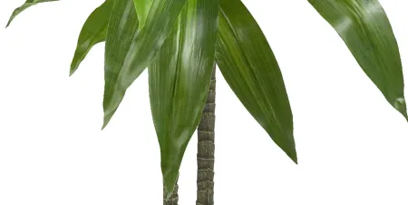 Dracaena Artificial Plant in Green by Bellanest