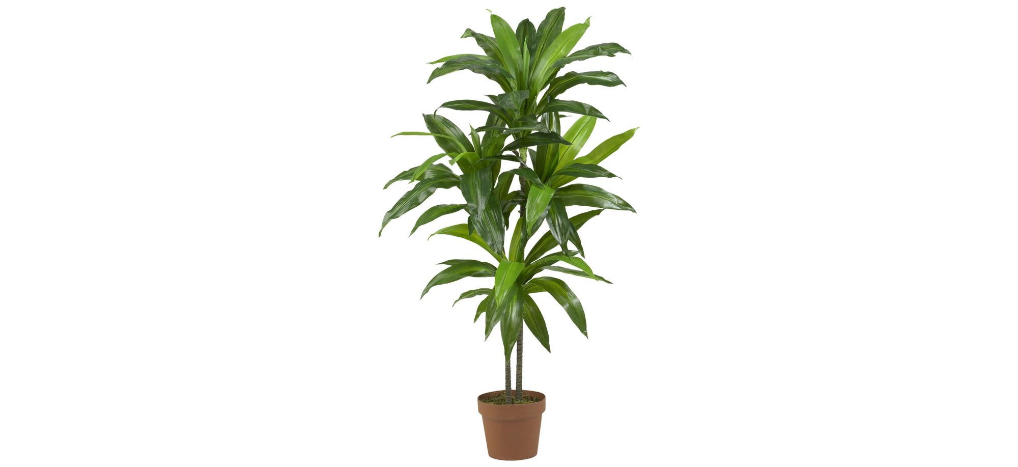 Dracaena Artificial Plant in Green by Bellanest