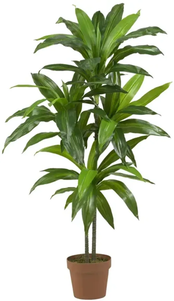 Dracaena Artificial Plant
