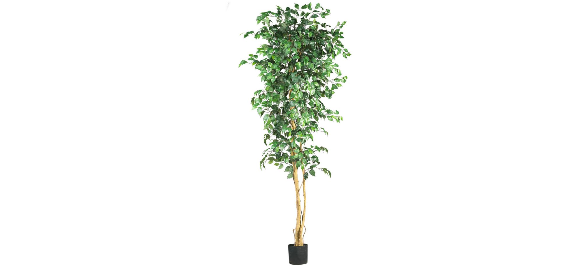 Ficus Artificial Tree in Green by Bellanest