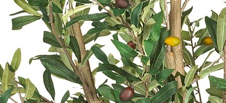 Olive Artificial Tree in Green by Bellanest