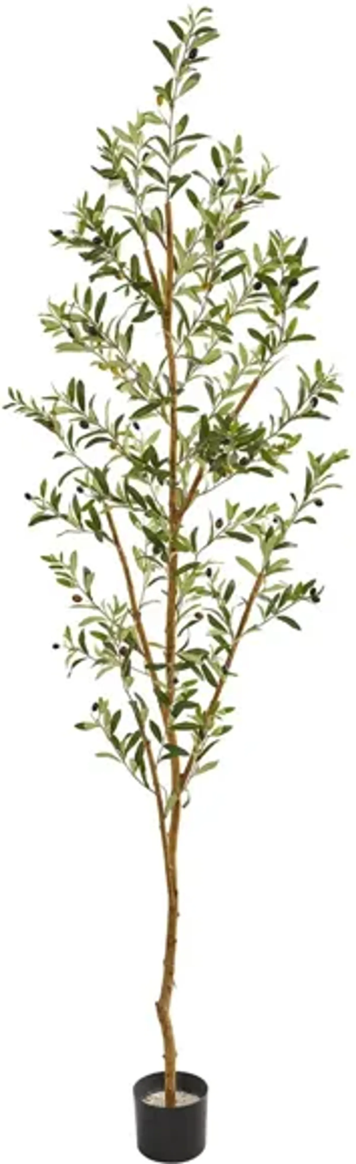 Olive Artificial Tree in Green by Bellanest