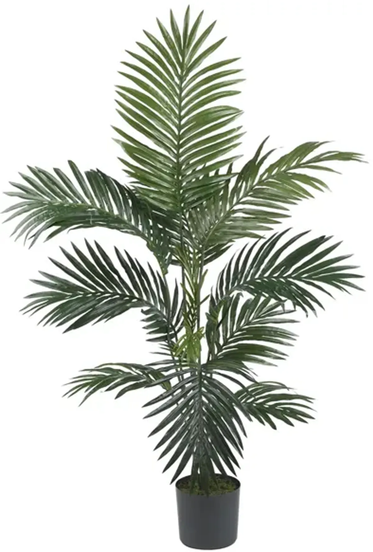 Kentia Palm Artificial Tree